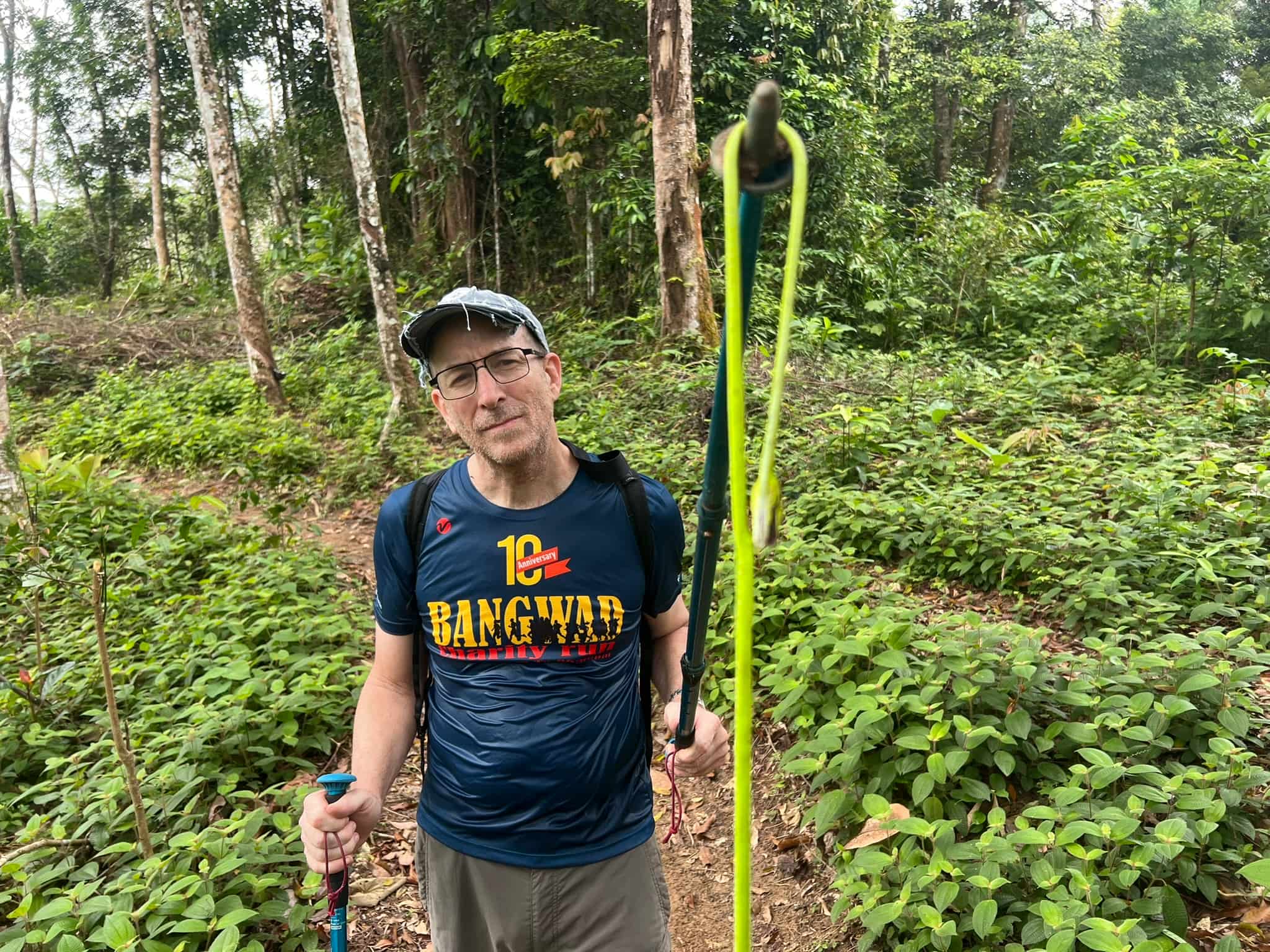 Dead Snake — Phuket