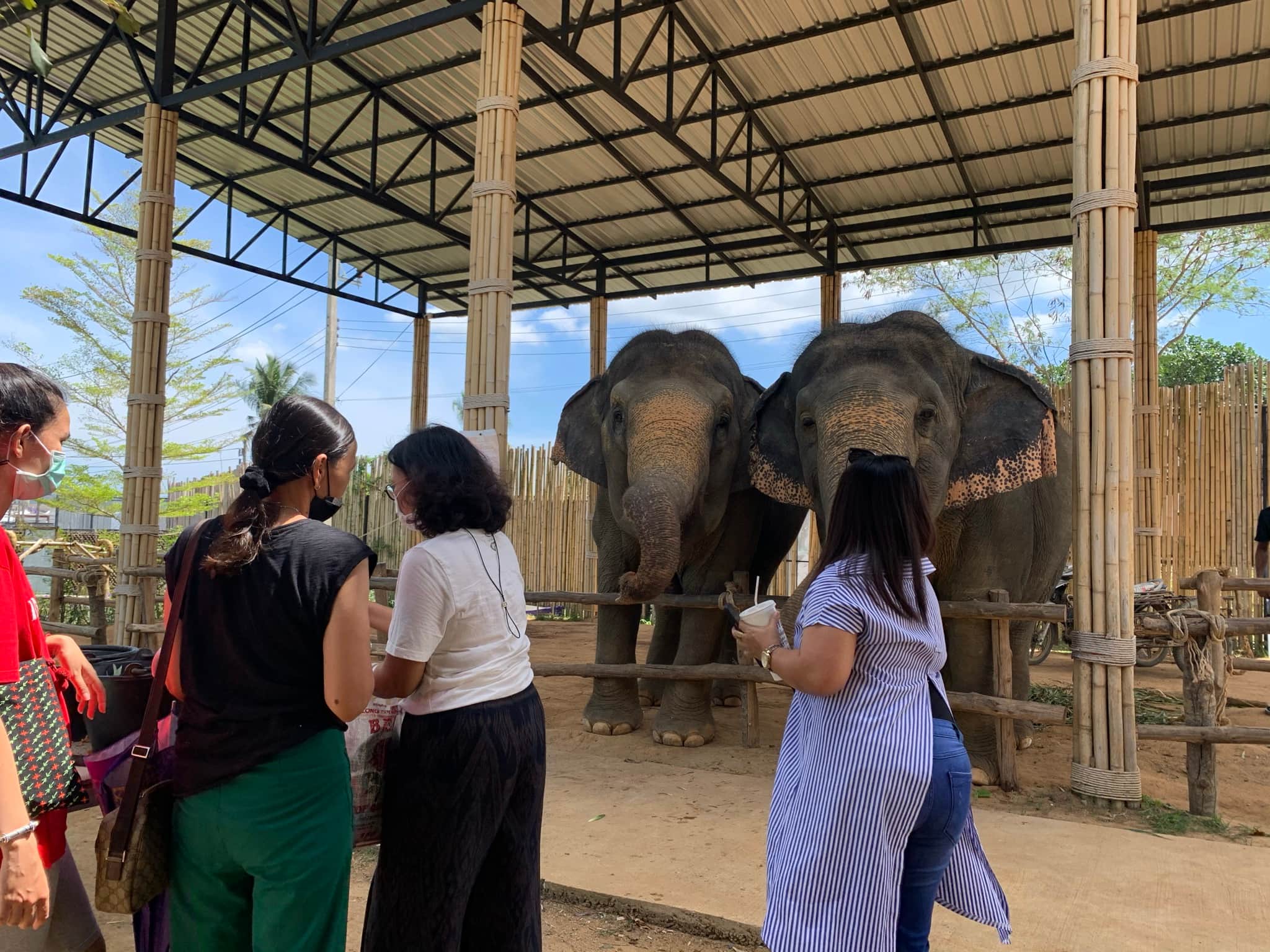 Elephant Jungle Sanctuary — Phuket