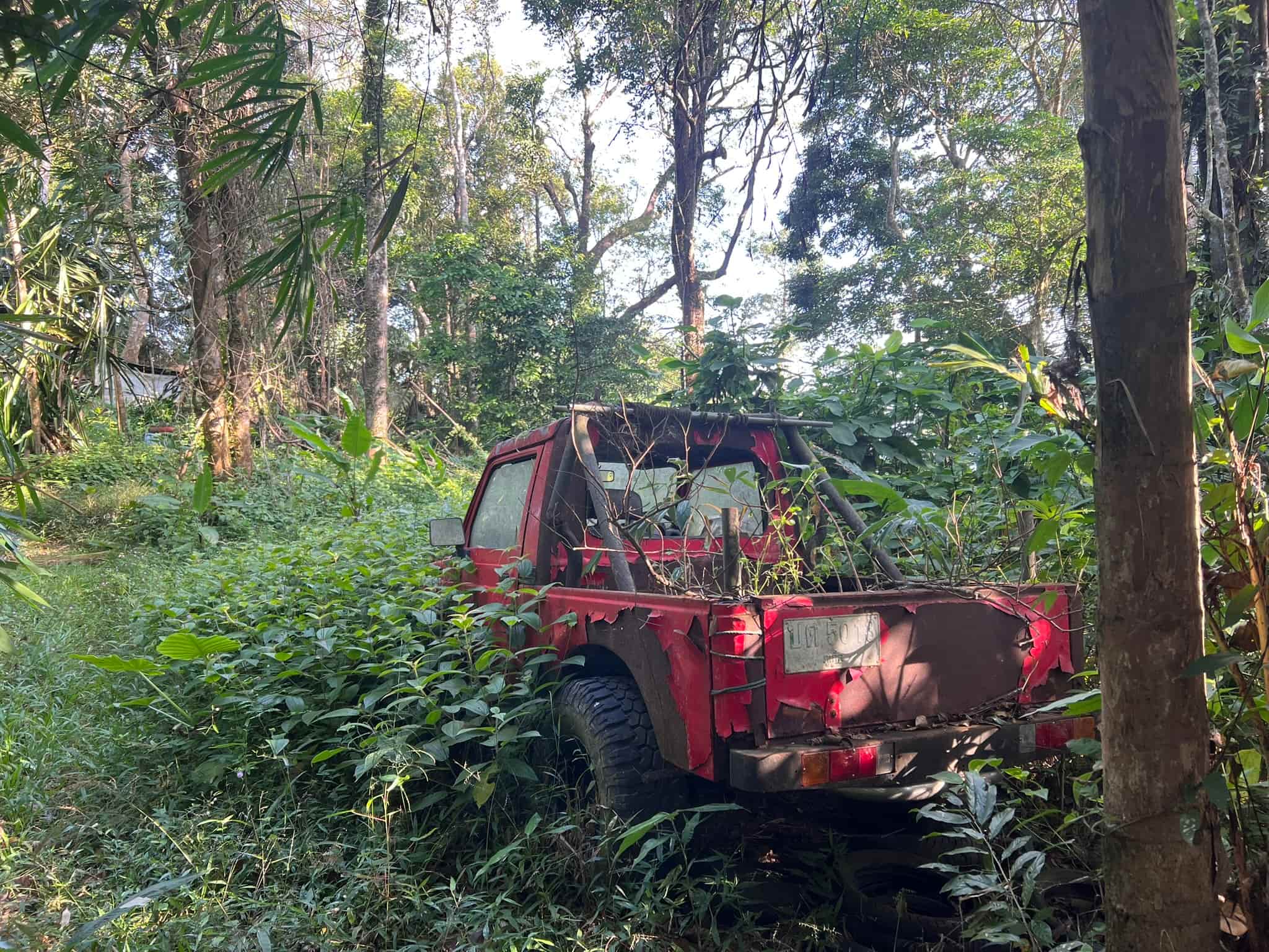 Jeep Eaten by Jungle — Phuket