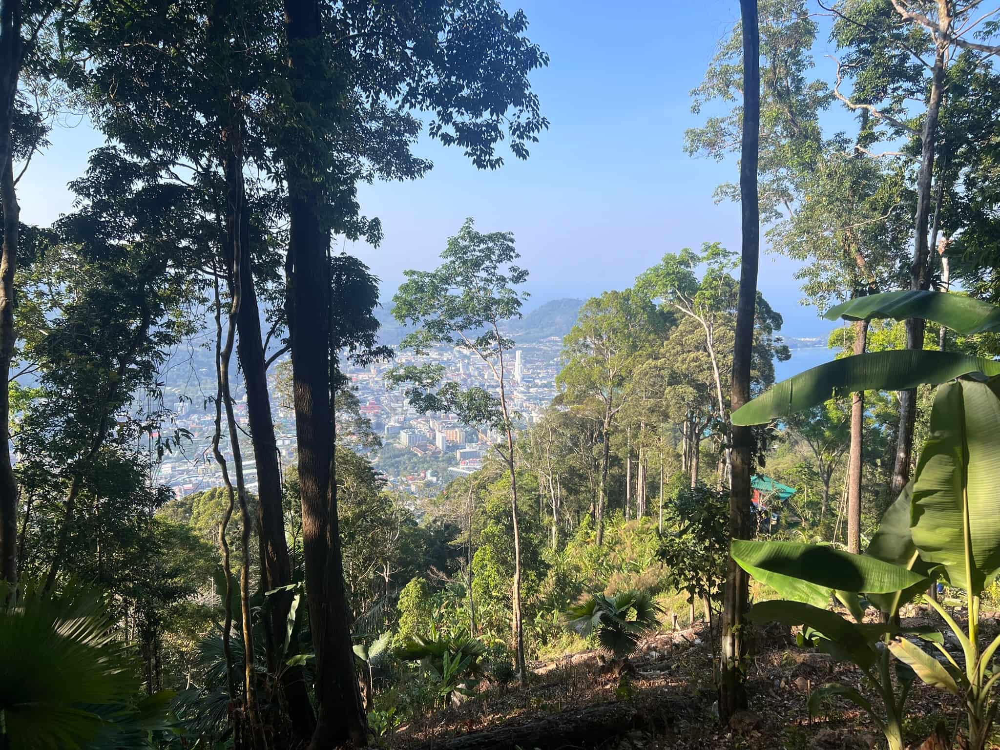 Patong Beach, Above — North View