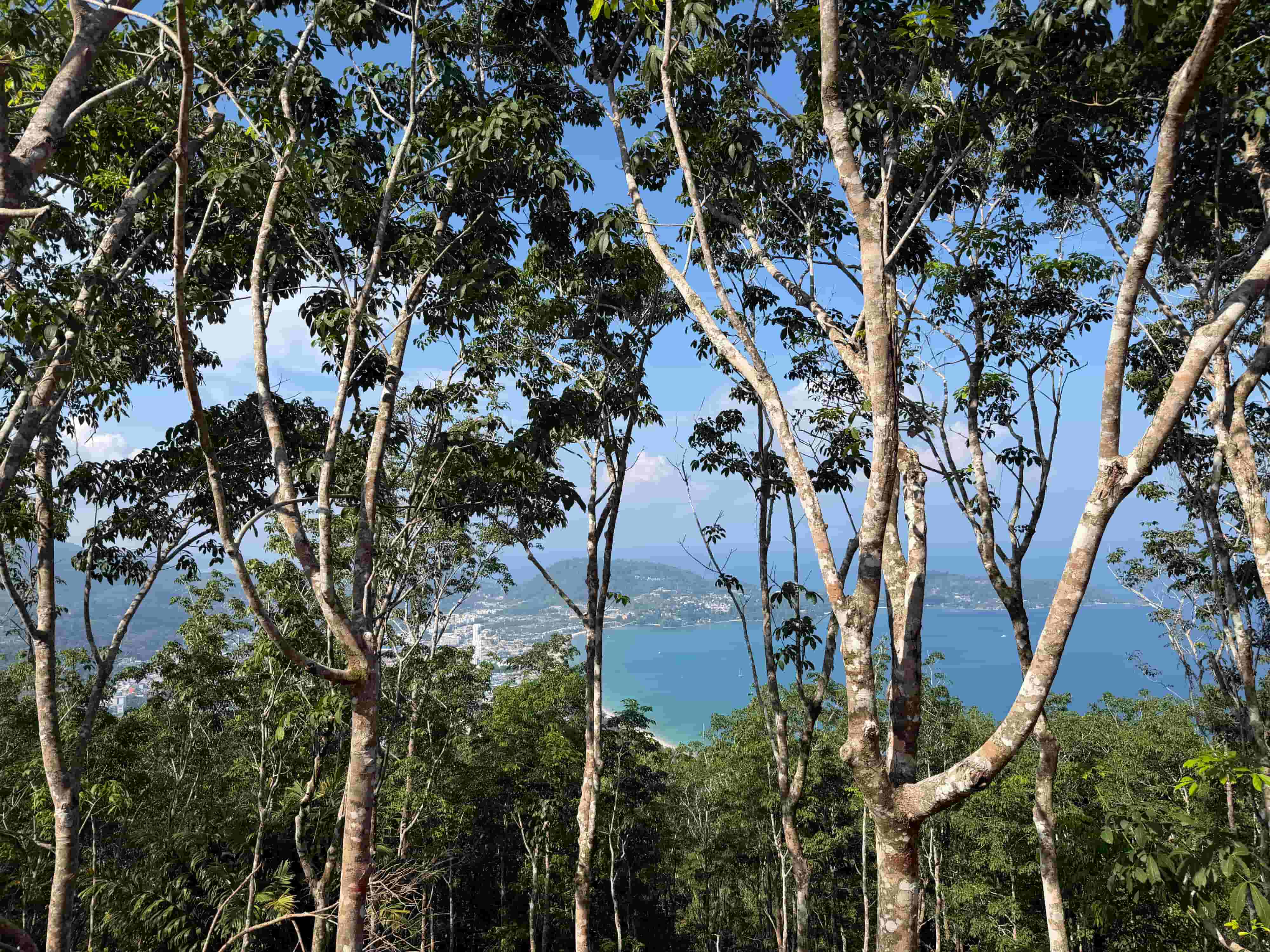 Patong Beach, Above — North 5